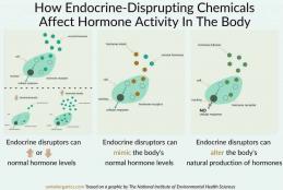 (image by National Institute of Environmental Health Sciences (NIEHS))